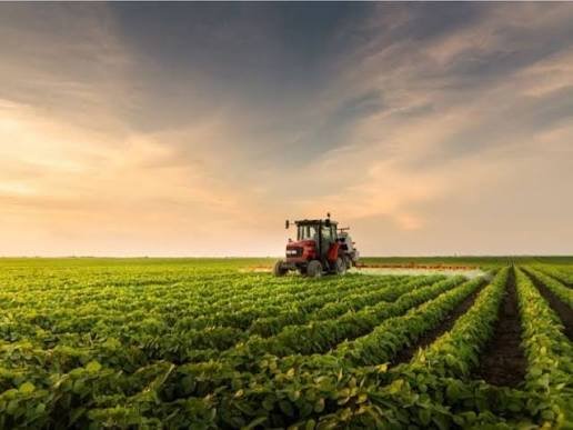 عقار البندري 15